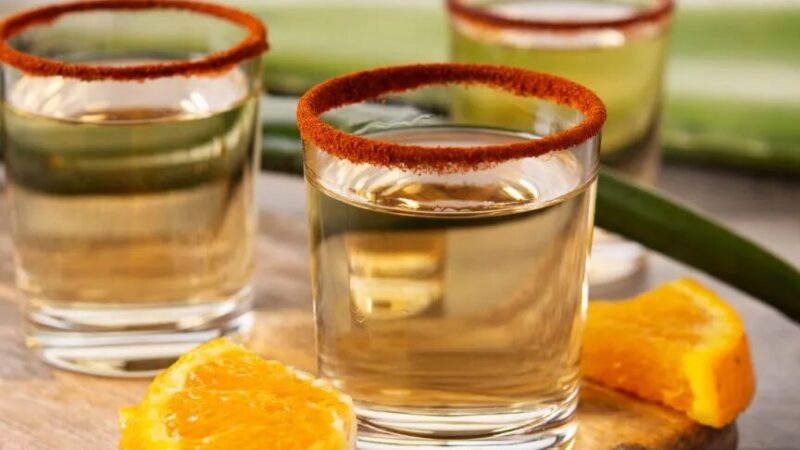 Agave Utilisation : Découvrez ses Applications Innovantes et Bénéfiques
