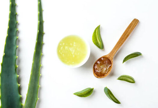 Aloe Vera Plante Utilisation : Maximisez Ses Bienfaits au Quotidien!