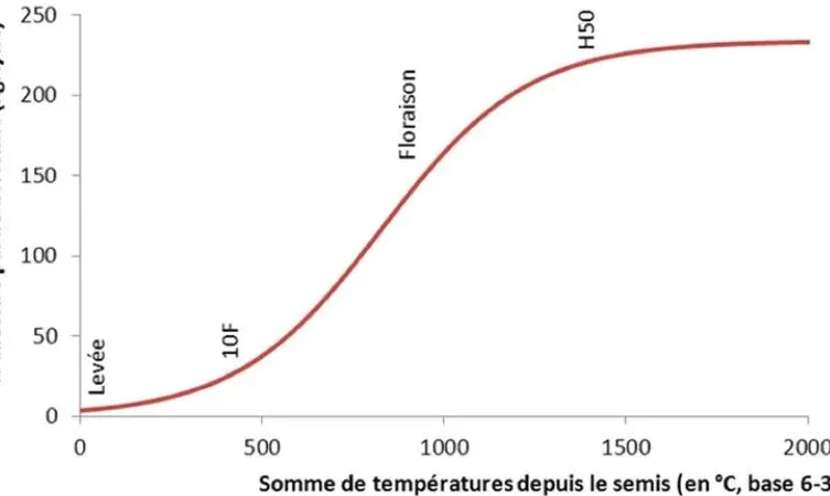 Azote Utilisation : Maximisez Son Potentiel Dans Divers Domaines