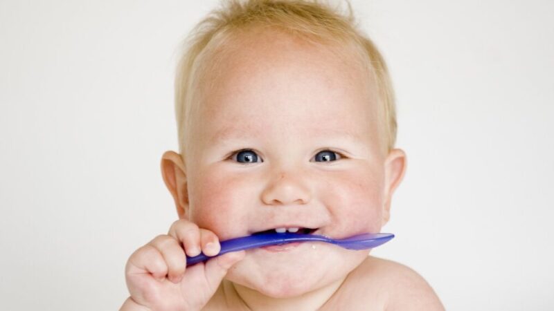 Babycook Utilisation : Guide Pratique pour une Cuisine Facile et Saine