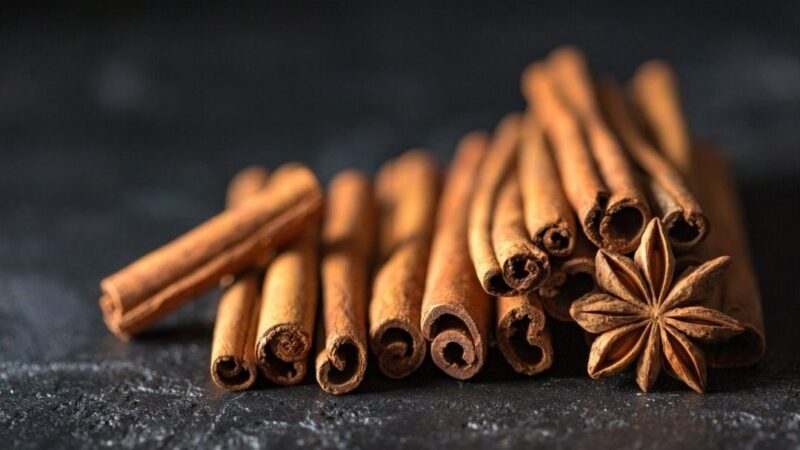 Bâton de cannelle utilisation : Découvrons ses multiples bienfaits !