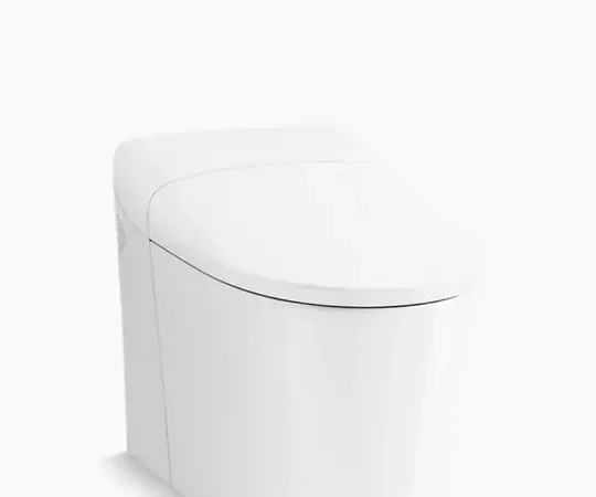 Bidet Utilisation : Optimisez Votre Confort Quotidien Efficacement