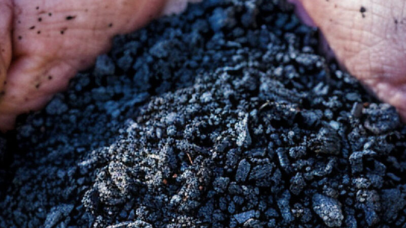 Biochar Utilisation : Transformez vos sols et boostez votre jardin !