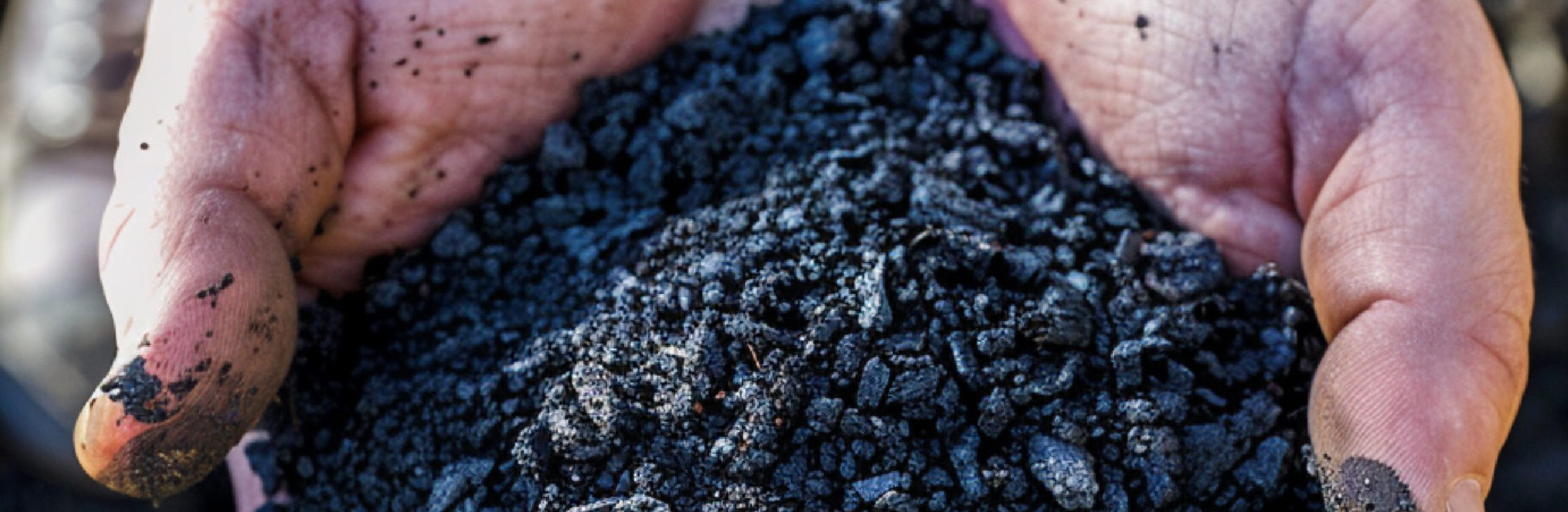 Biochar Utilisation : Transformez vos sols et boostez votre jardin !
