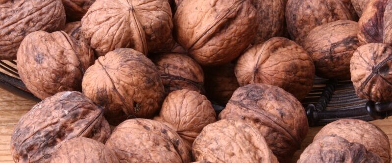 Brou de noix utilisation : Astuces et Bienfaits Essentiels à Découvrir