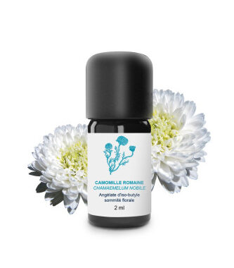 Camomille Romaine Huile Essentielle Utilisation : Guide Pratique et Efficace