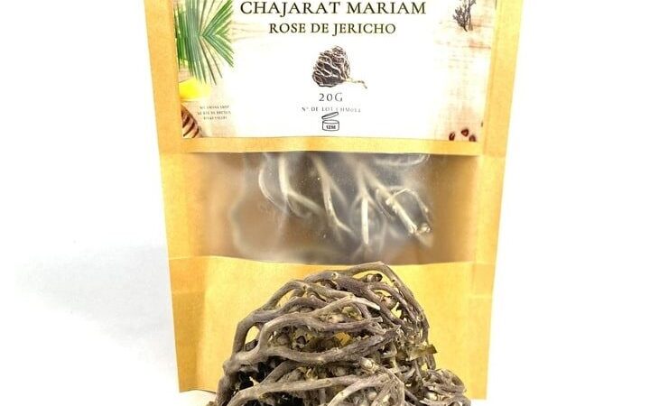 Chajarat Mariam Utilisation : Découvrez ses incroyables bienfaits !