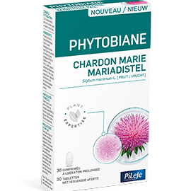 Chardon Marie Utilisation : Découvrez ses Bienfaits et Applications