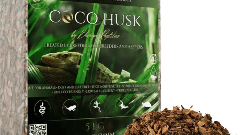 Coco Peat Utilisation : Optimisez vos Culture et Jardins Durable