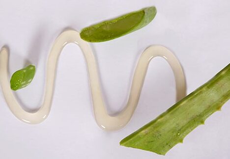 Comment utiliser aloe vera cheveux : Secrets pour des cheveux sublimes!
