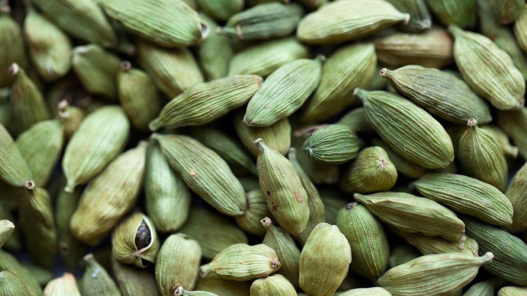 Comment utiliser cardamome : Les secrets d’une épice puissante