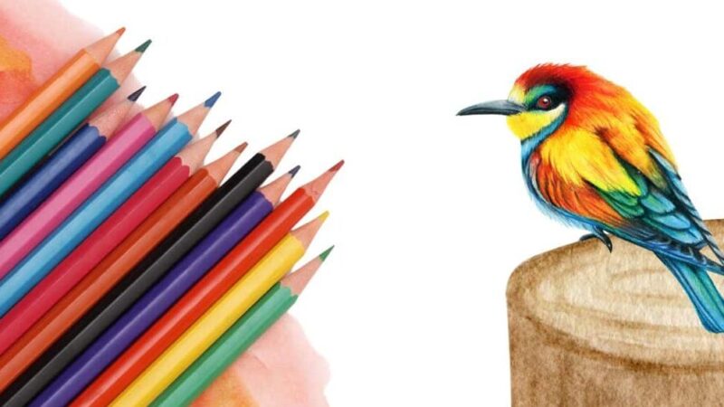 Comment utiliser crayon aquarelle : Guide complet pour débutants