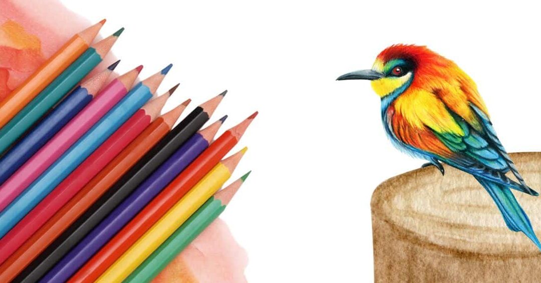 Comment utiliser crayon aquarelle : Guide complet pour débutants