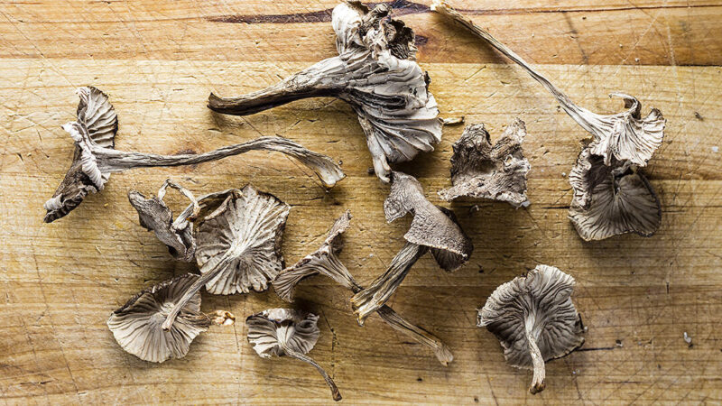 Comment utiliser des cèpes séchés : 5 astuces culinaires infaillibles