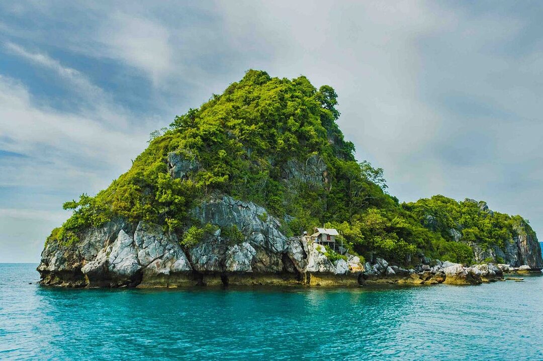 Comment utiliser Dynamic Island : Guide pratique et astuces essentielles