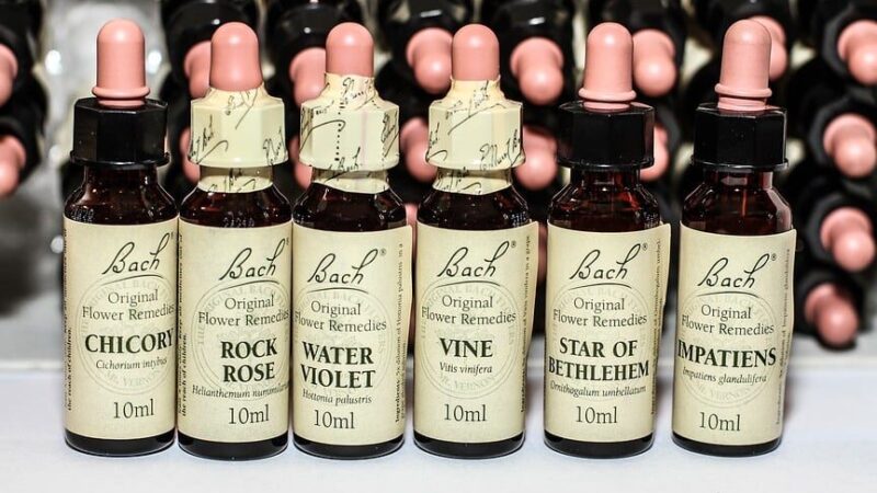 Comment utiliser fleur de Bach : Guide pratique et bénéfices immédiats