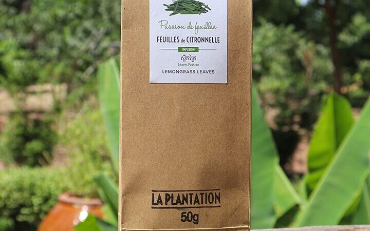 Comment utiliser la citronnelle pour un bien-être optimal ?