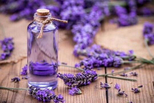 Comment utiliser la lavande pour dormir : astuces efficaces et naturelles