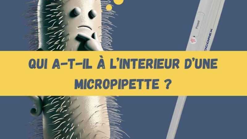 Comment utiliser le coussin cœur : Guide pratique et astuces indispensables