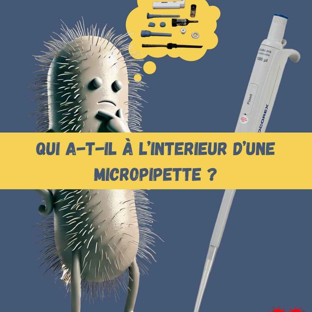 Comment utiliser le coussin cœur : Guide pratique et astuces indispensables