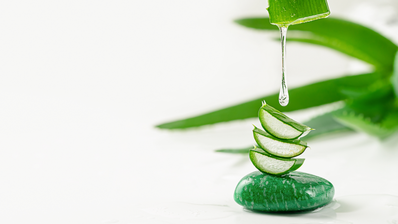 Comment utiliser le gel d&rsquo;aloe vera sur cheveux pour un éclat irrésistible ?