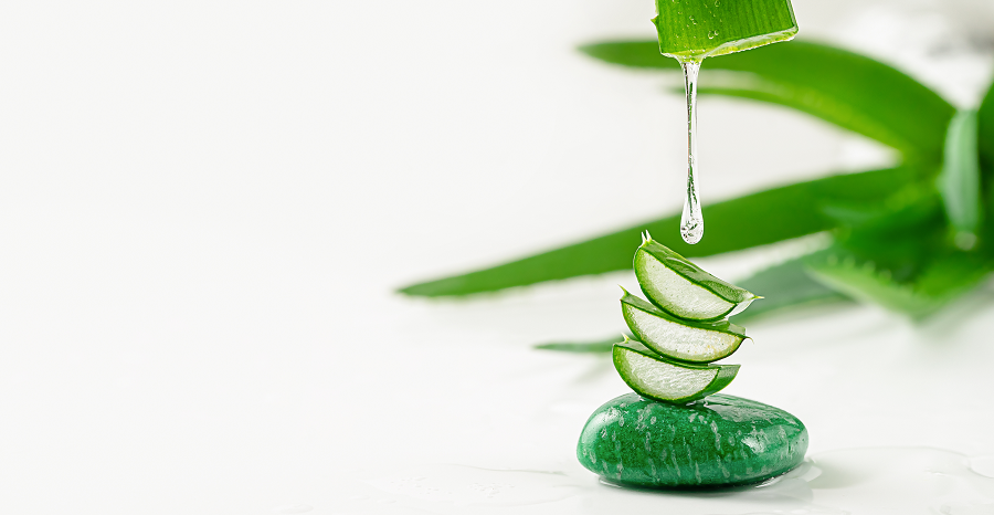 Comment utiliser le gel d&rsquo;aloe vera sur cheveux pour un éclat irrésistible ?