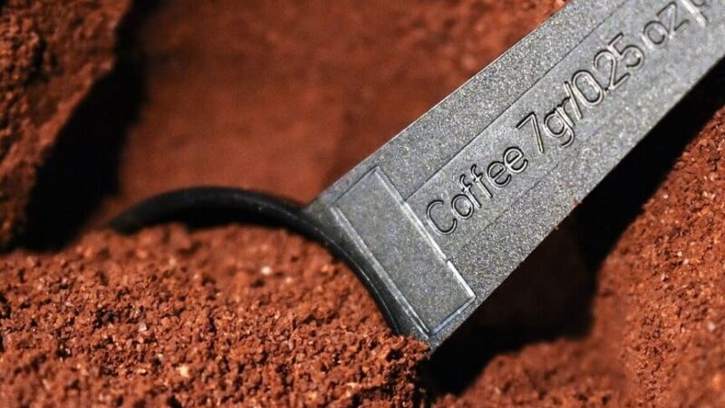 Comment utiliser le marc de café au jardin : Astuces et conseils pratiques