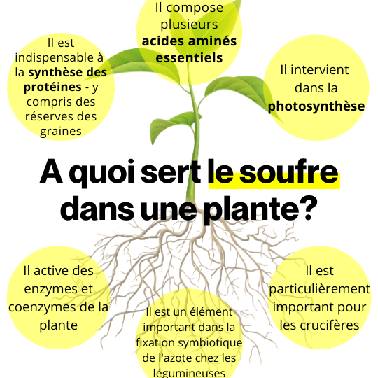 Comment utiliser le soufre en poudre : Guide pratique et efficace