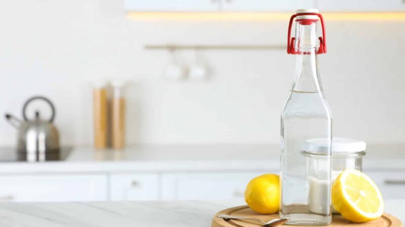 Comment utiliser le vinaigre blanc pour les doryphores : Guide Pratique et Efficace