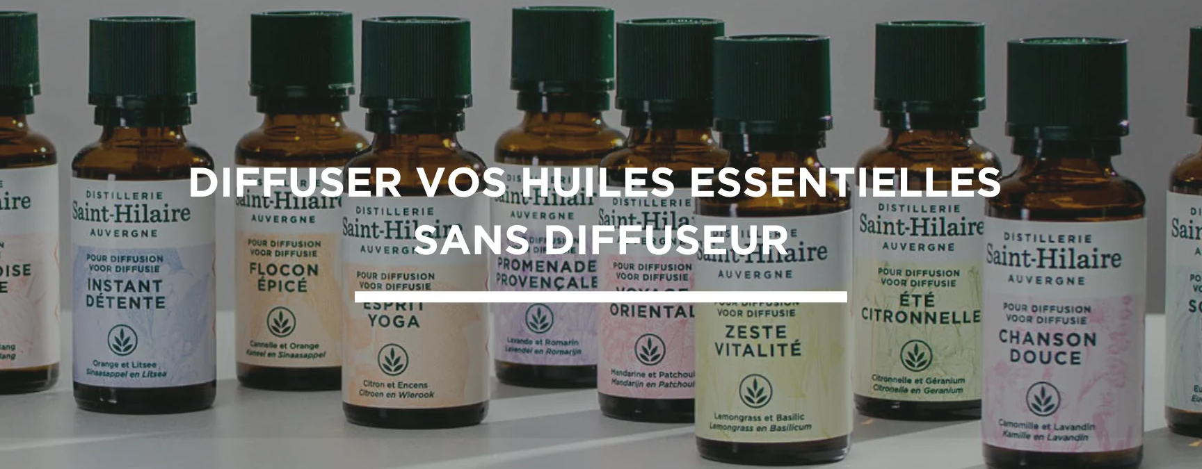 Comment utiliser les huiles essentielles tea tree pour des bienfaits incroyables