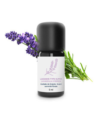 Comment utiliser l&rsquo;huile essentielle d&rsquo;eucalyptus globulus pour votre bien-être ?
