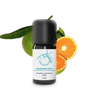 Comment utiliser l&rsquo;huile essentielle de menthe poivrée efficacement ?