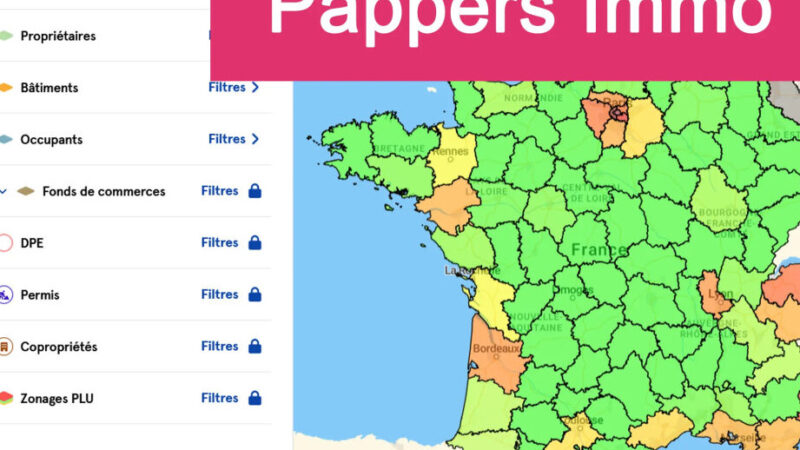 Comment utiliser pappers immobilier : Guide pratique et efficace