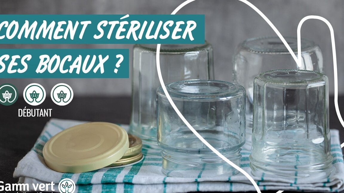 Comment utiliser un stérilisateur électrique : Guide pratique et efficace !