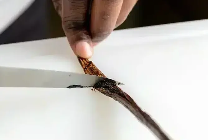 Comment utiliser une gousse de vanille dans un gâteau : Guide complet et astuces incroyables