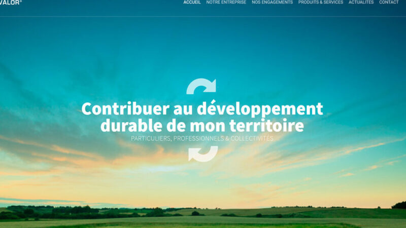 Copeaux de bois utilisation : Boostez vos projets écologiques !