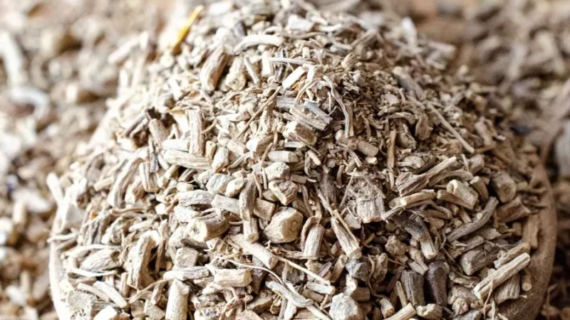 Crème Fleurette Utilisation : Maximisez son Potentiel en Cuisine