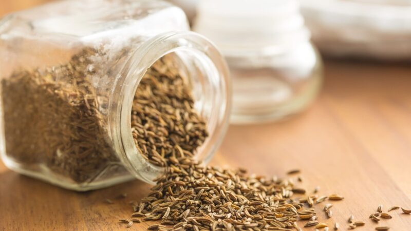 Cumin en poudre utilisation : Les secrets pour sublimer vos plats