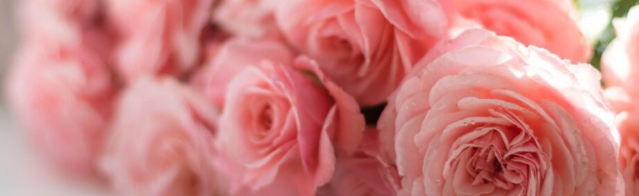 Eau de Rose Utilisation : Découvrez ses Bienfaits et Applications !