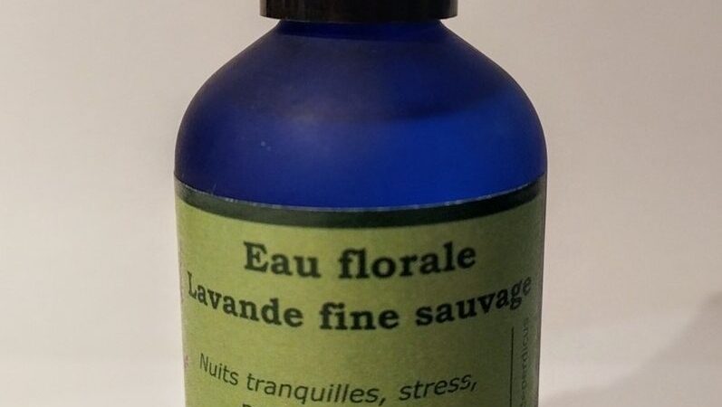 Eau Florale Lavande Utilisation : Astuces Pratiques et Bénéfices