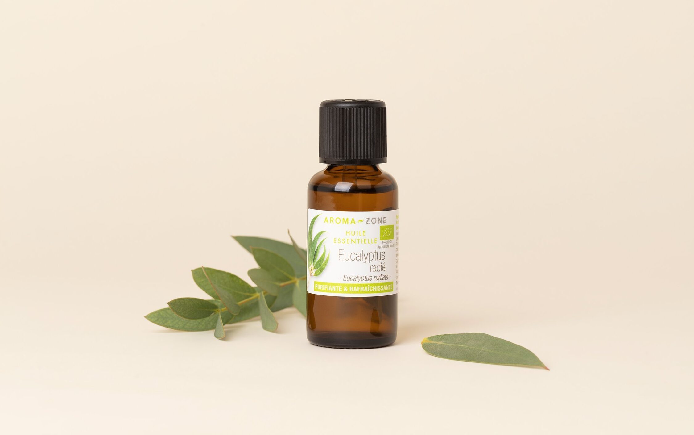 Eucalyptus Radiata Utilisation : Bienfaits et Applications Essentielles