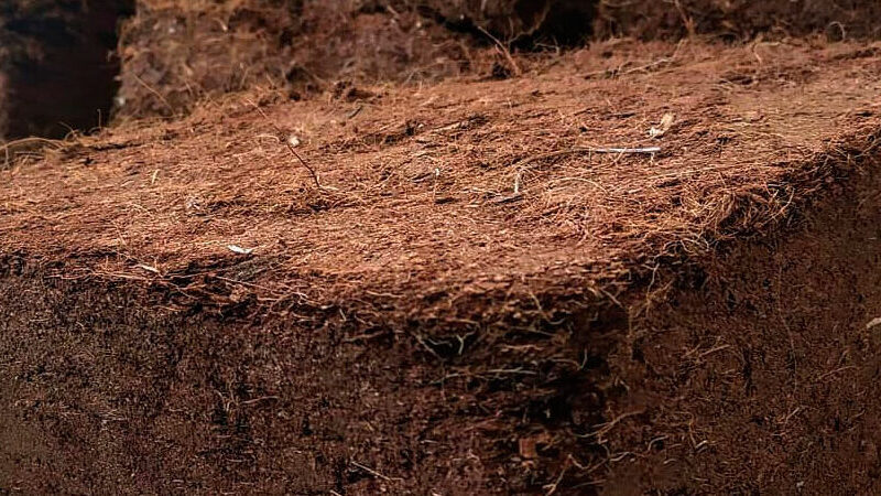 Fibre de coco utilisation : Découvrez ses multiples applications !
