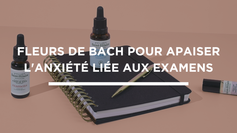 Fleur de Bach Stress : Comment Utiliser pour Apaiser Votre Vie