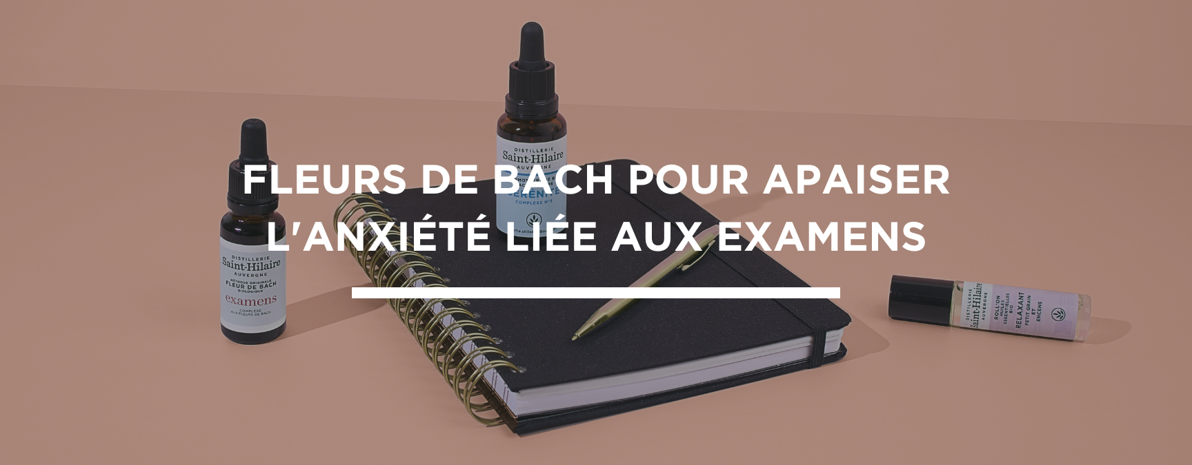 Fleur de Bach Stress : Comment Utiliser pour Apaiser Votre Vie