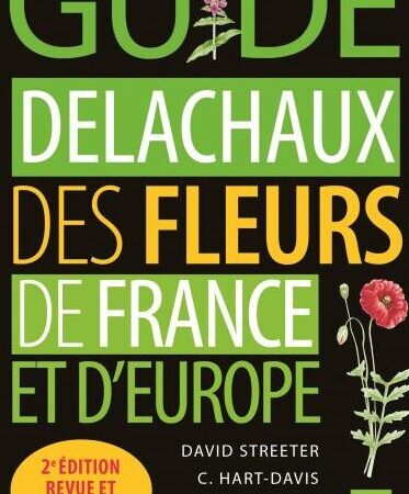Fleur de chaux utilisation : Guide complet pour vos projets pratiques