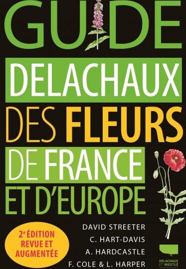 Fleur de chaux utilisation : Guide complet pour vos projets pratiques