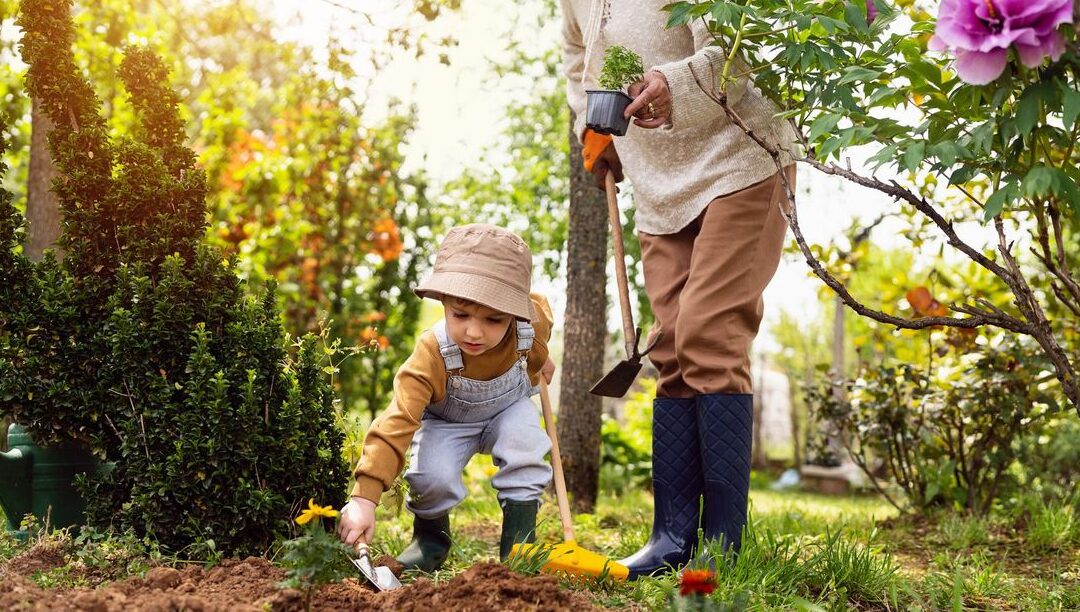 Herbe à taupe utilisation : Votre alliée pour un jardin sain !
