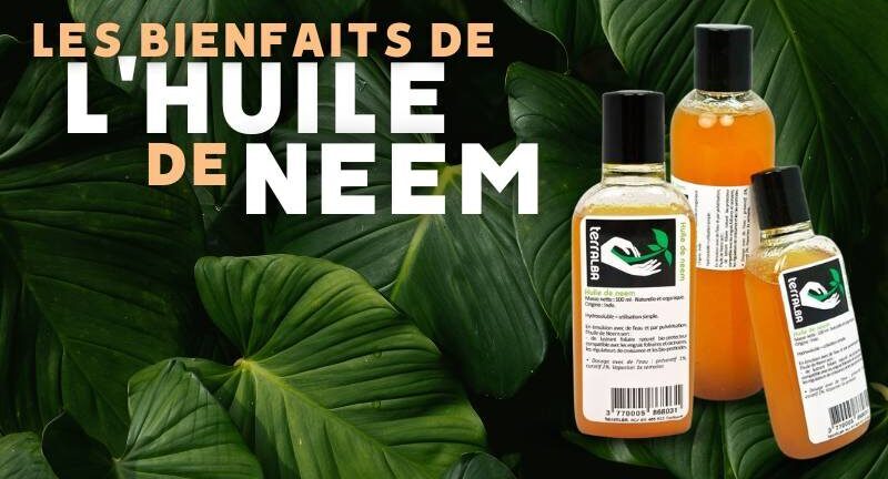 Huile de Neem Utilisation : Découvrez ses Bienfaits Inattendus !