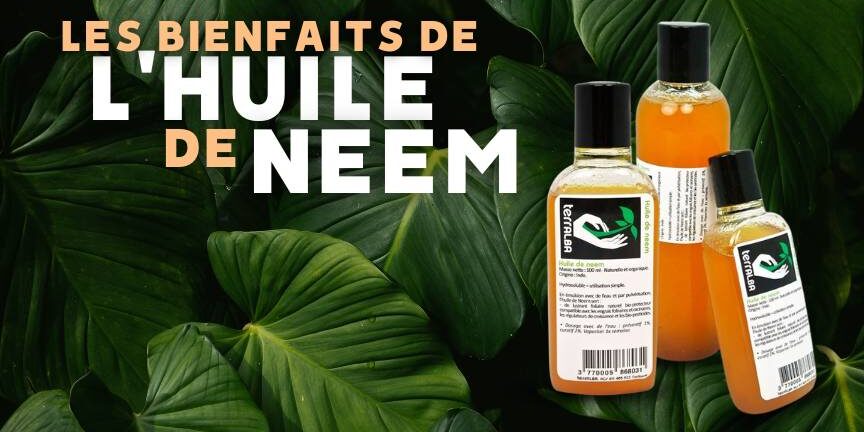 Huile de Neem Utilisation : Découvrez ses Bienfaits Inattendus !