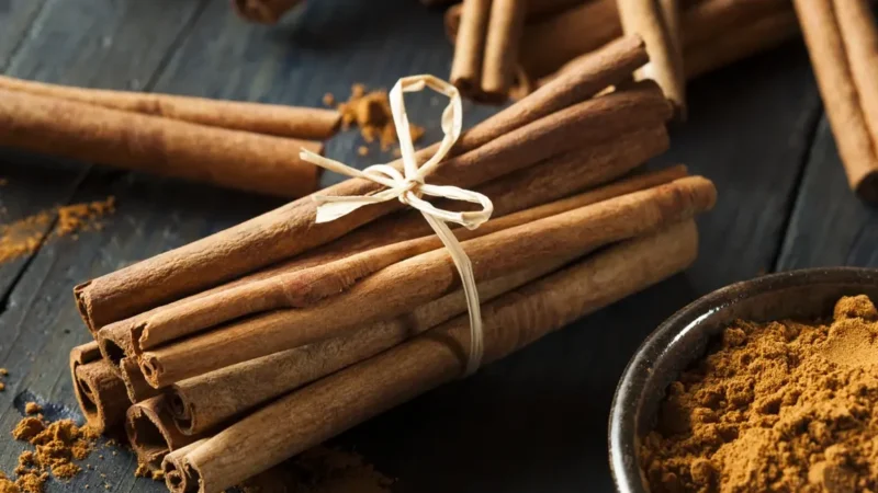 Huile essentielle de cannelle utilisation : Bienfaits et conseils pratiques